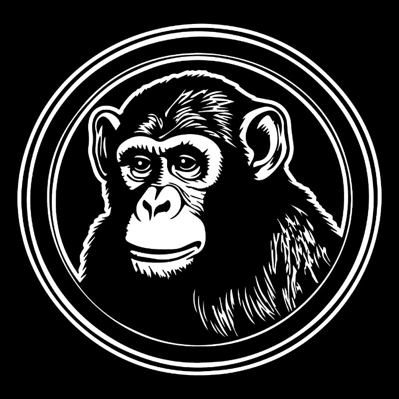 Singe Singe Visage de Singe Jungle