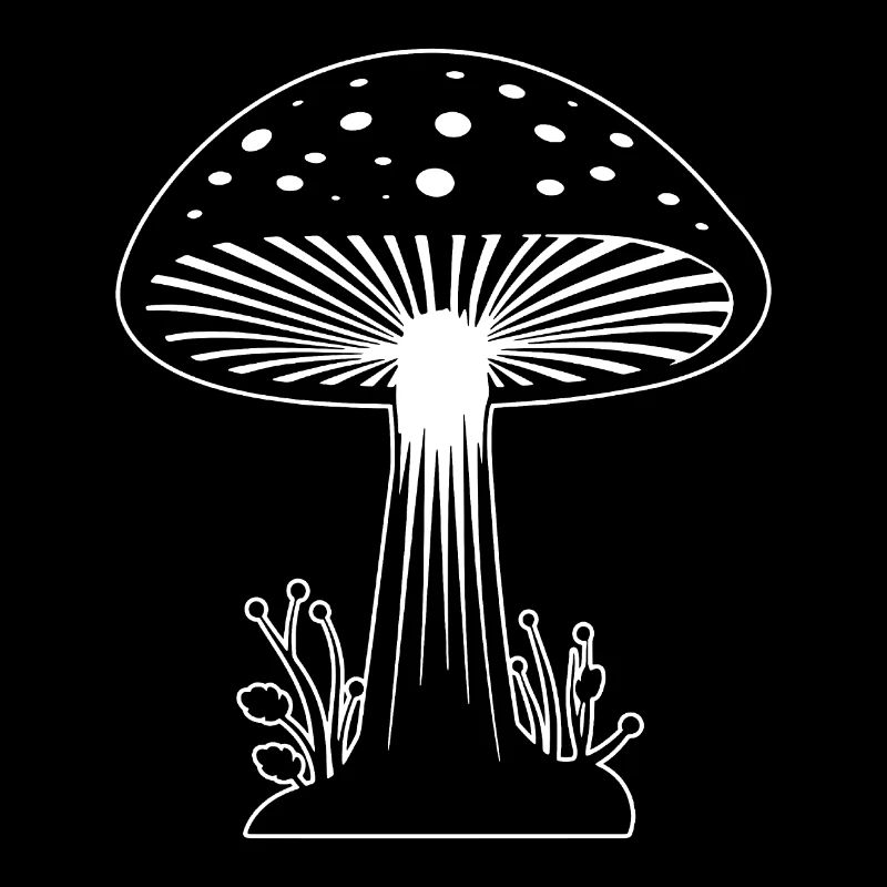Champignon Cueilleur de champignons Champignons Champignons