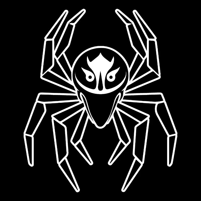 Spider spiders animals
