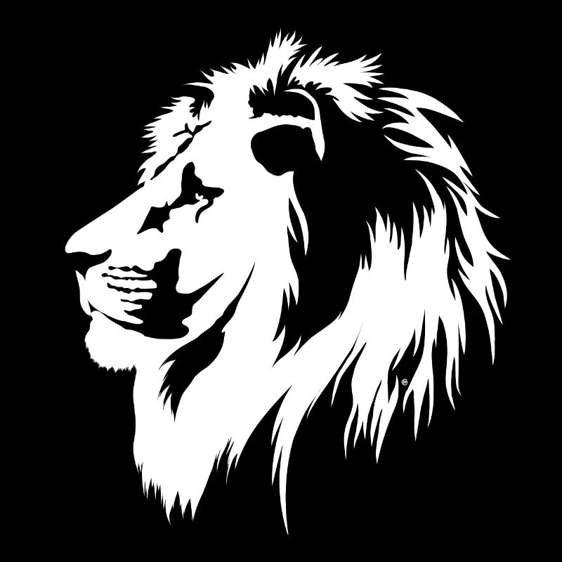 Le roi des chats (blanc)