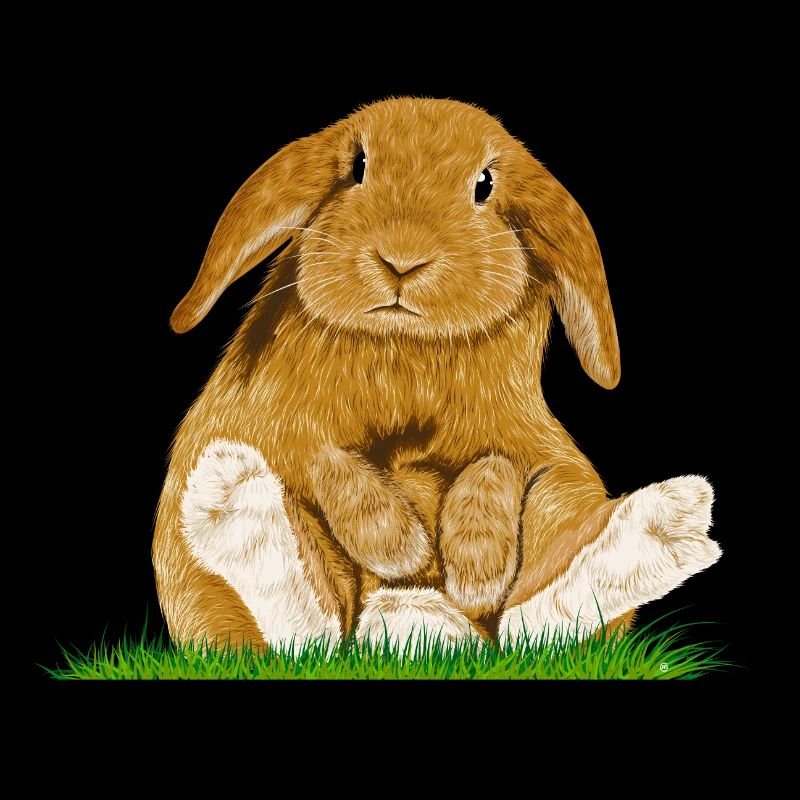 Lapin de Pâques