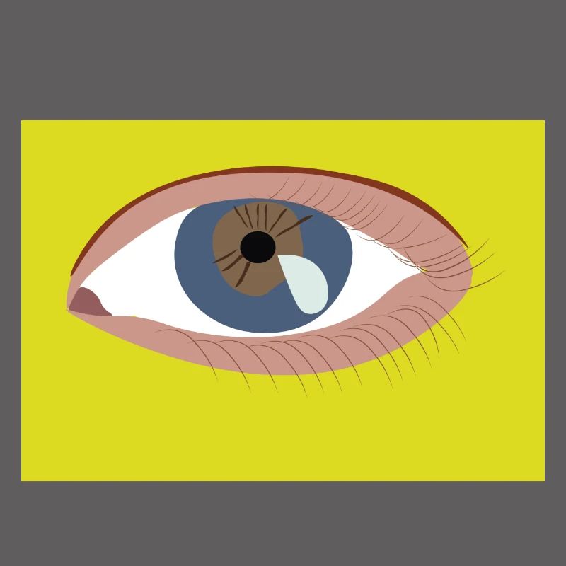 Oeil