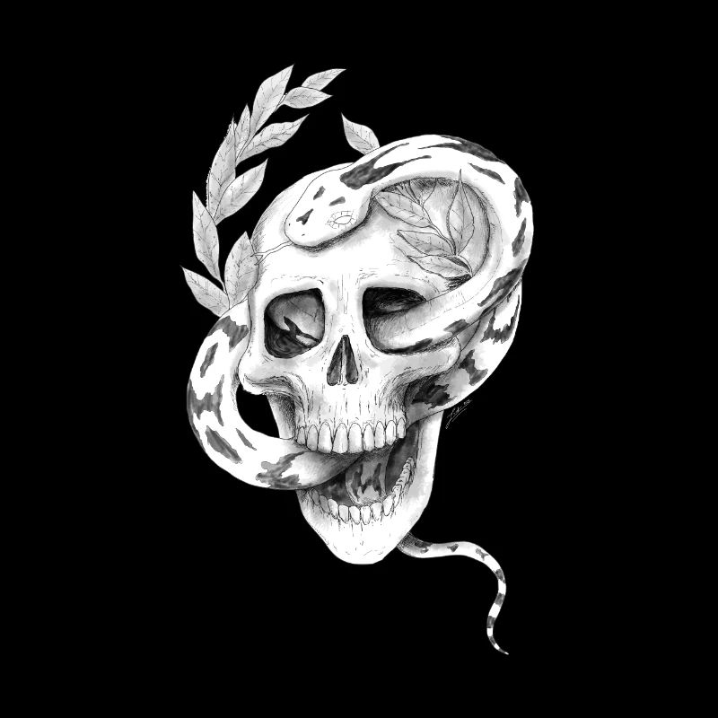 Crâne de serpent