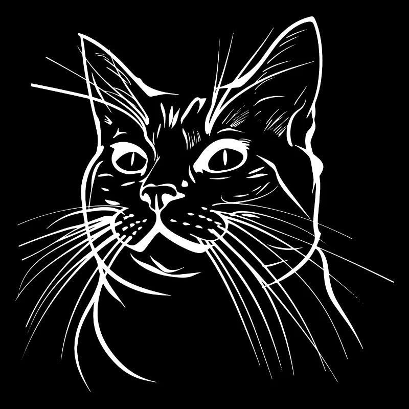 Chat, Motif De Chat, Visage De Chat