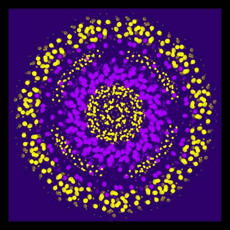 cercle jaune et violet