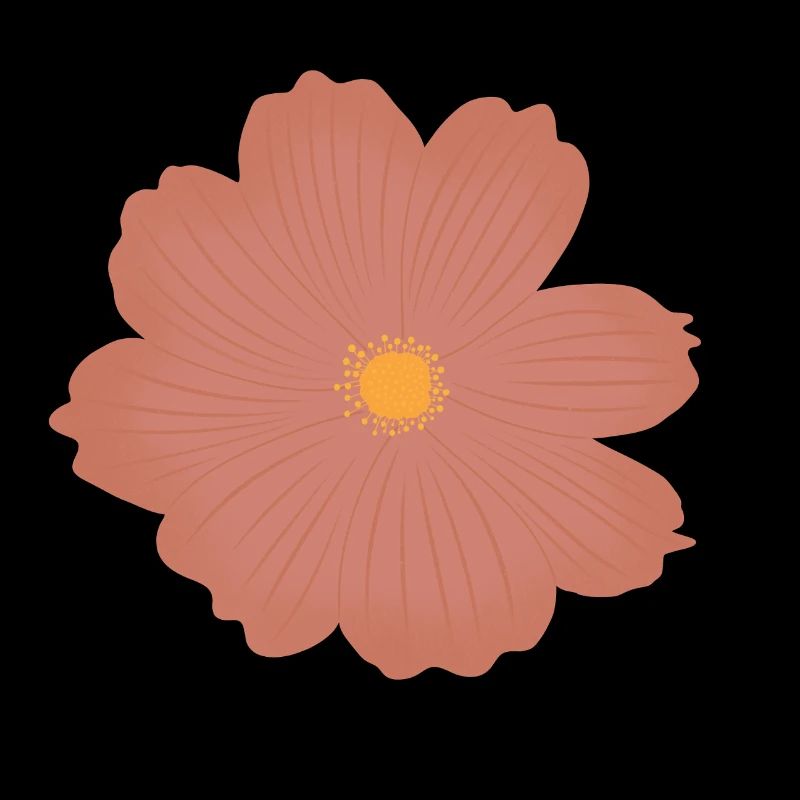 Rosa Blume