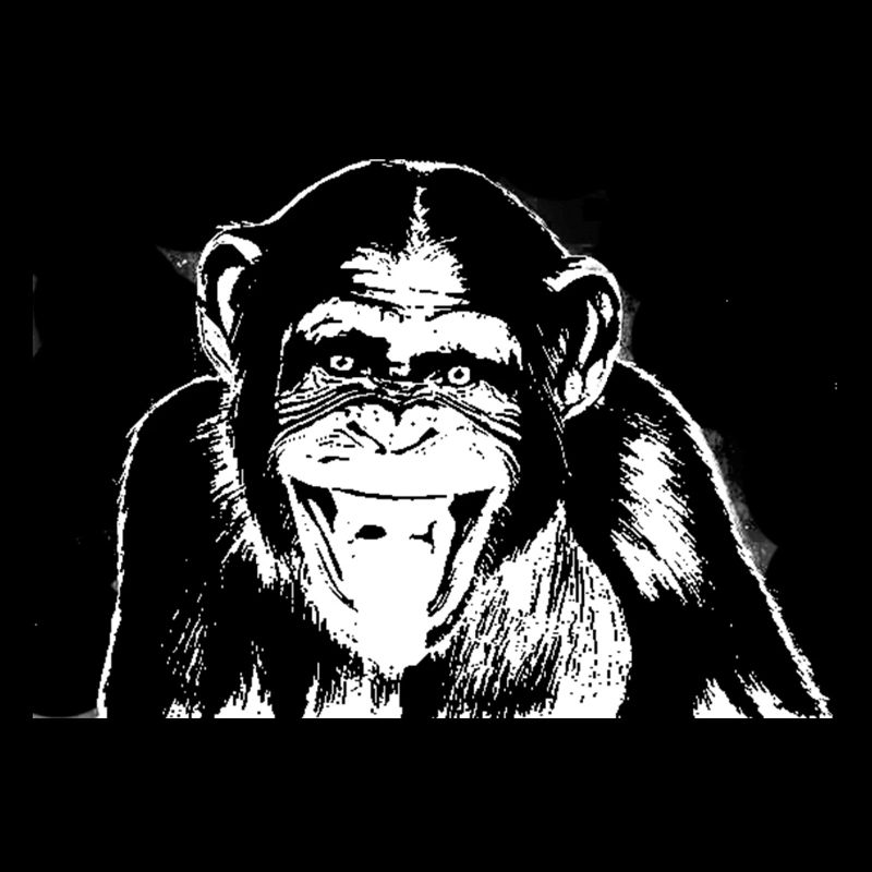 Schimpanse - Chimp - Chimpanzee
