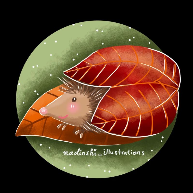 Igel im Herbst