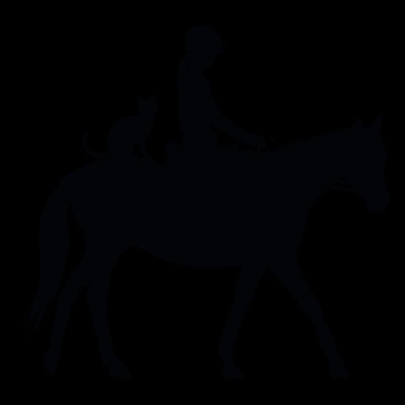 Cavalière Cheval et chat