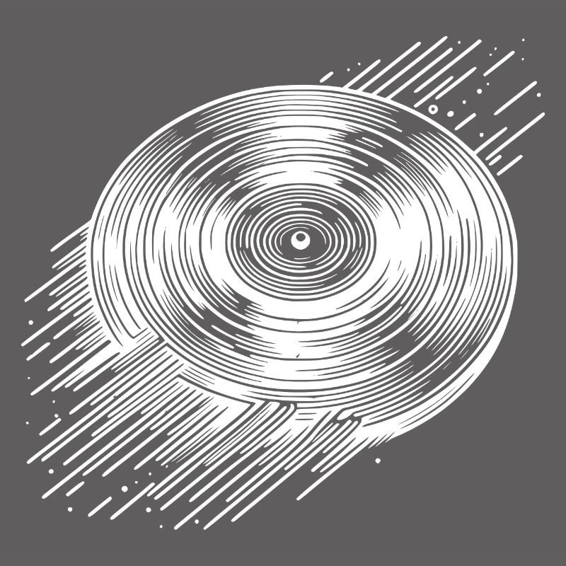 LP Vinyle