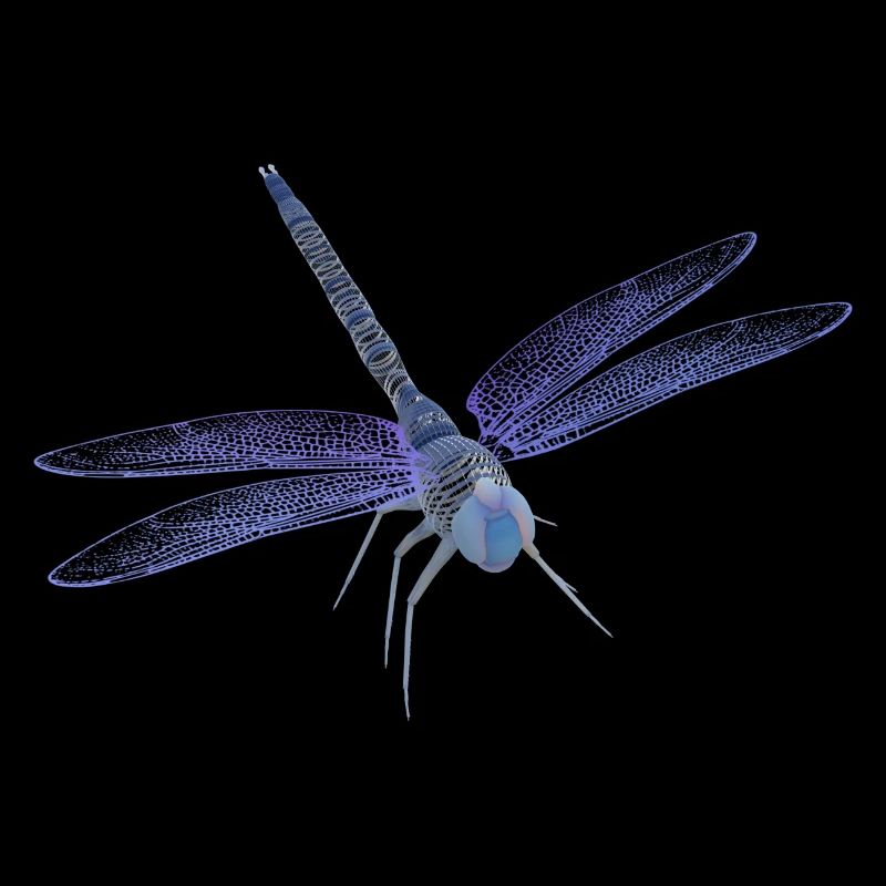 Dragonfly