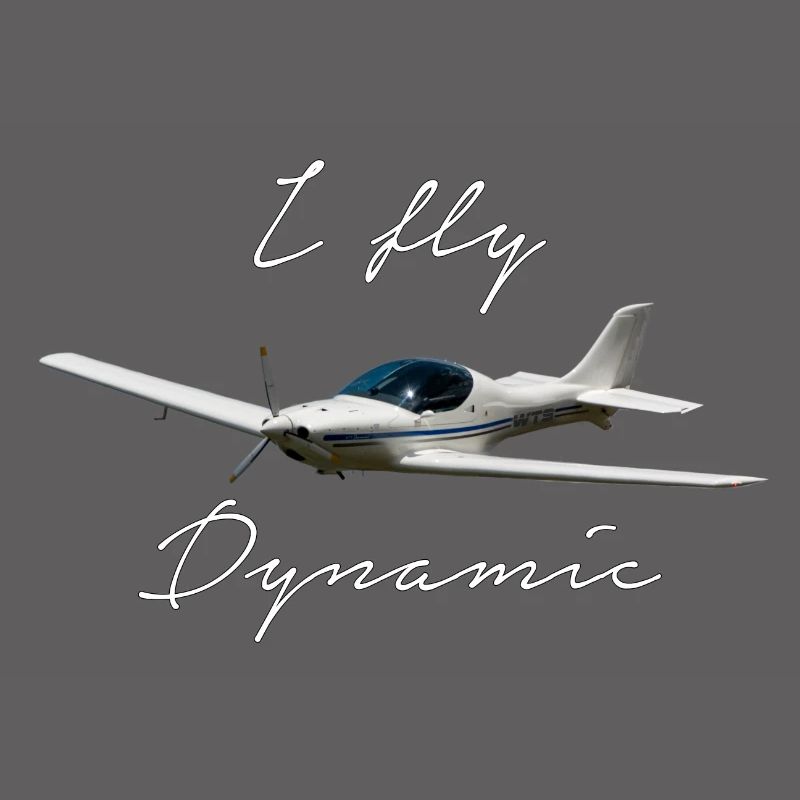 I fly Dynamic WT9 microlight