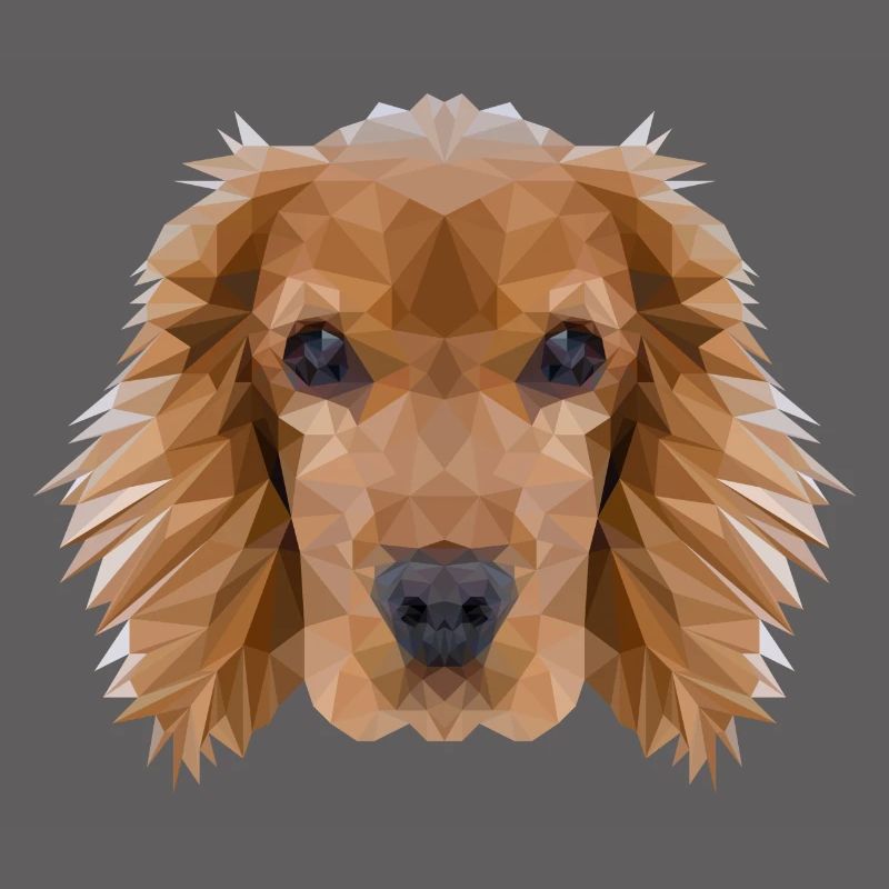 Cocker Spaniel Hund Polygondesign
