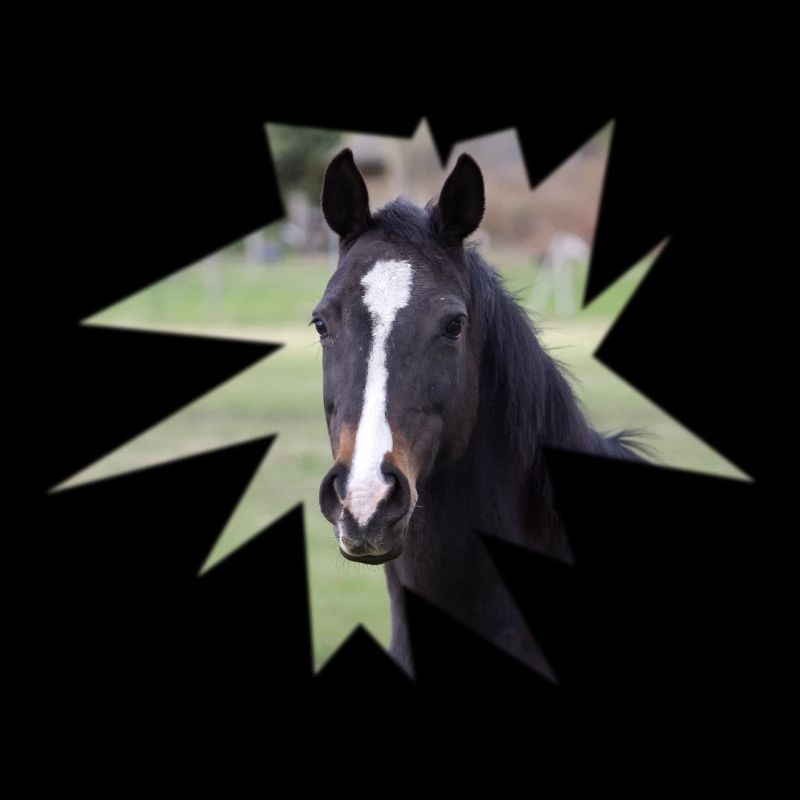 Cheval. Cheval.