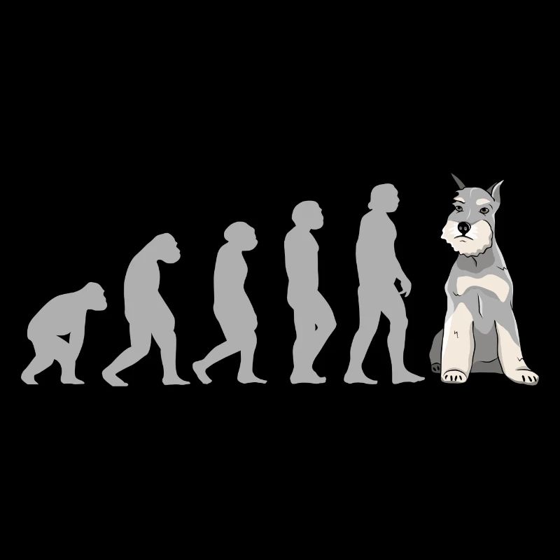 Evolution Schnauzer