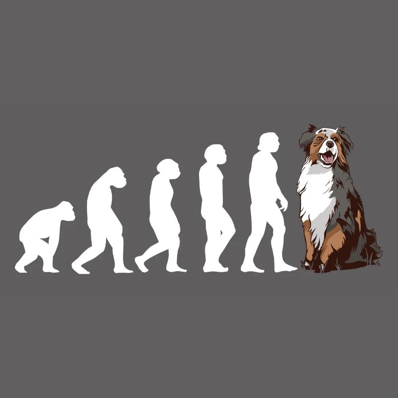 Évolution du chien Aussie