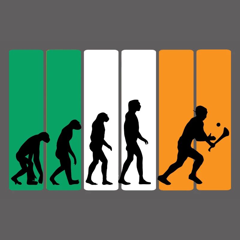 L’évolution du hurling