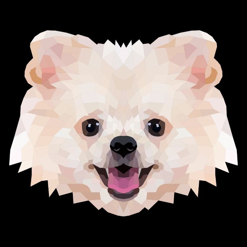 Spitz nain Polyart