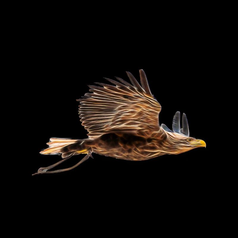 fractalius eagle 2