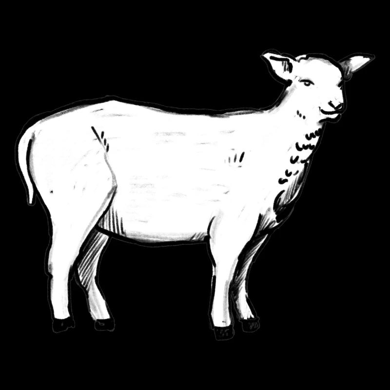 A lamb (hand-drawn)