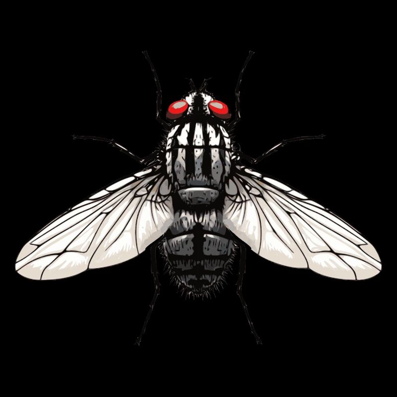 Fliege