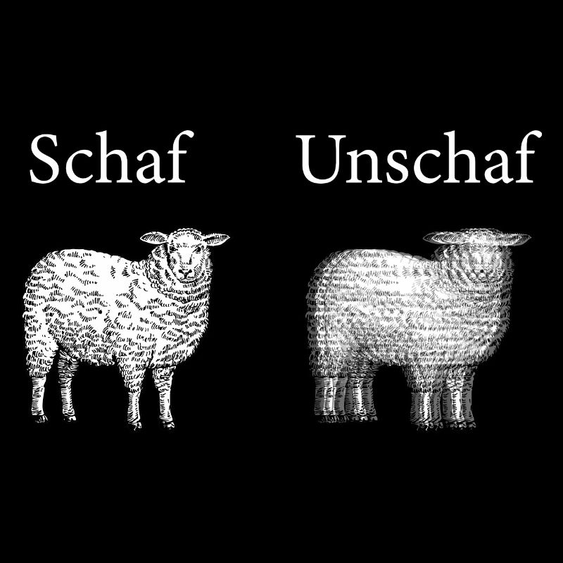 Schaf Unschaf Lustiges Bild