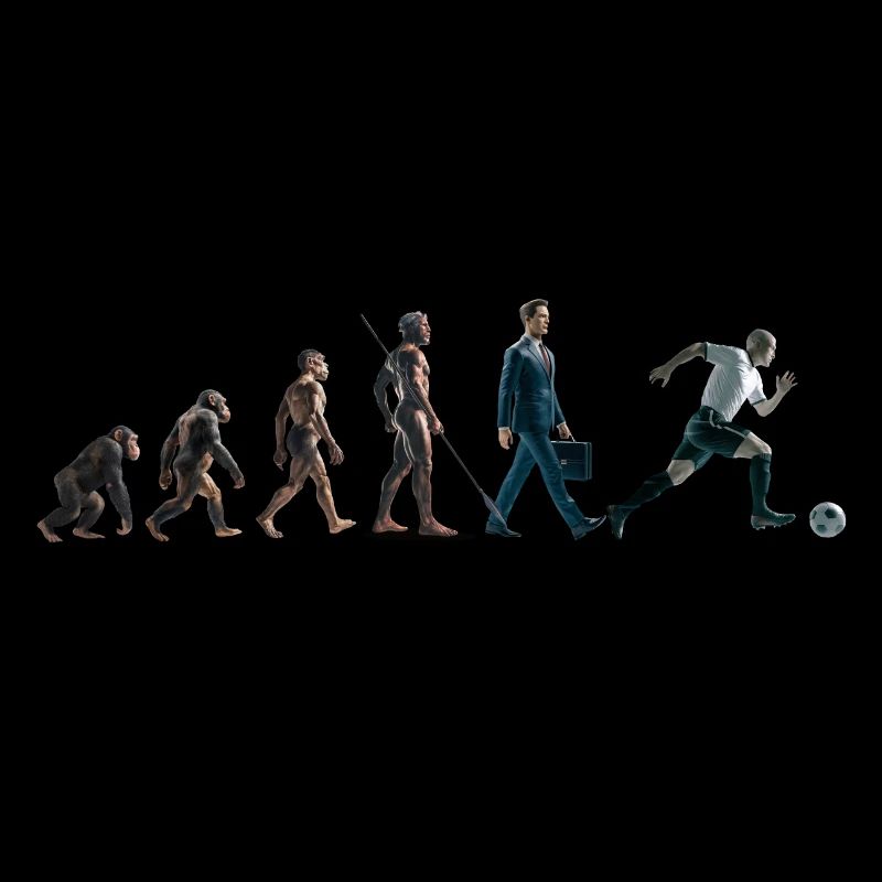 Evolution Fussball Zeichenfläche 1