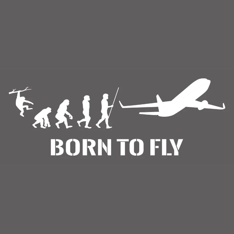 Évolution de l’avion Pilote Voler Voler