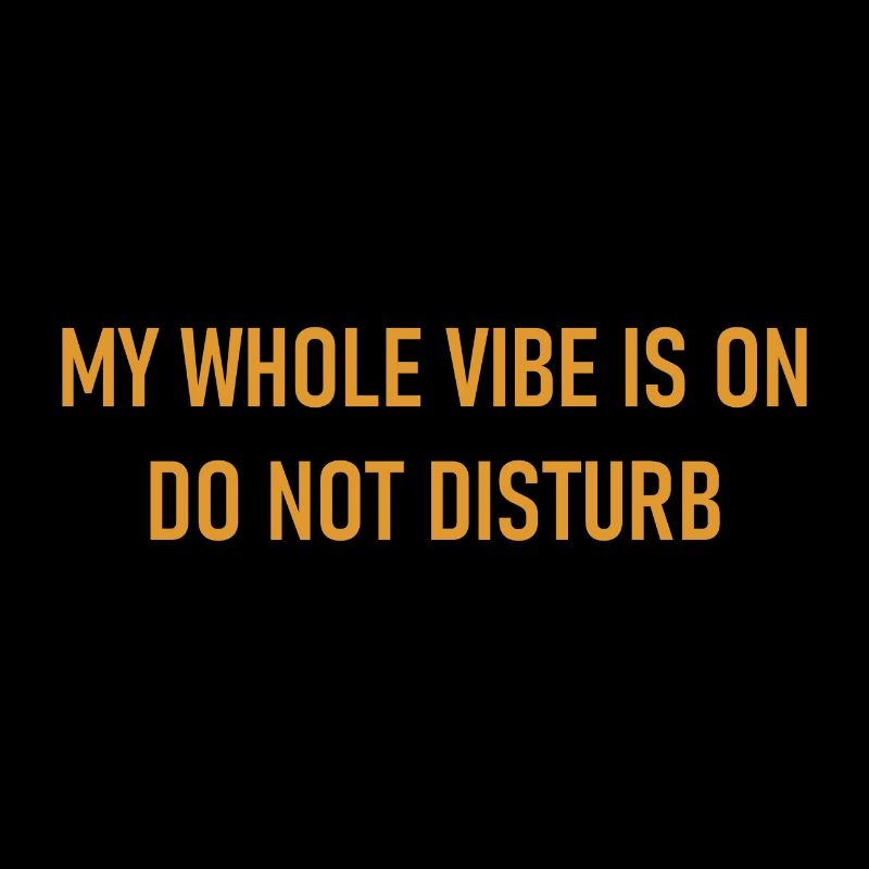 My Whole Vibe Is On Do Not Disturb - Stimmung