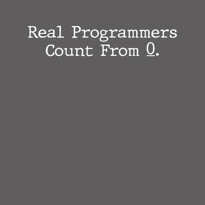 Programmer Coder Software Developer