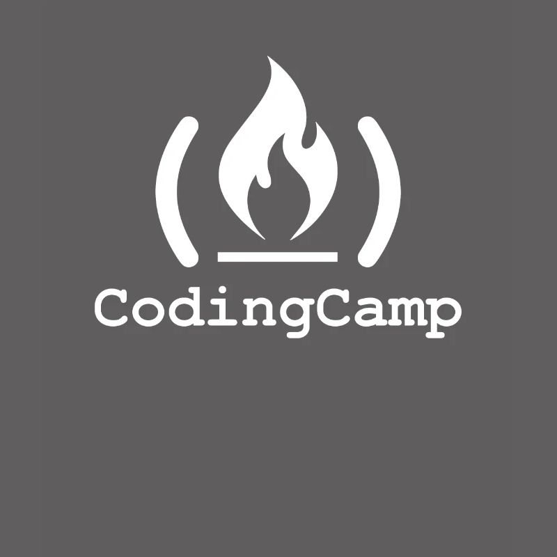 Programmeur Coder Développeur de logiciels