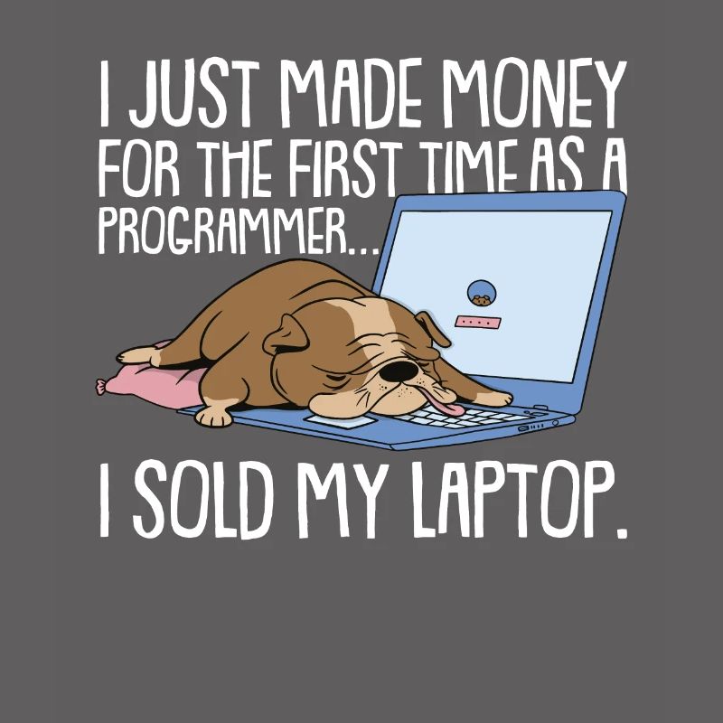 Programmierer Coder Software Entwickler