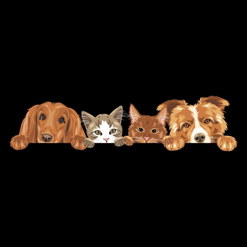 Jeter un coup d’œil à deux chats mignons et deux chiens