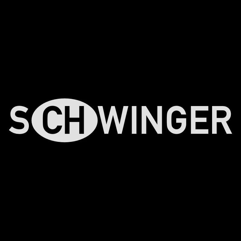 Schwinger Schweiz