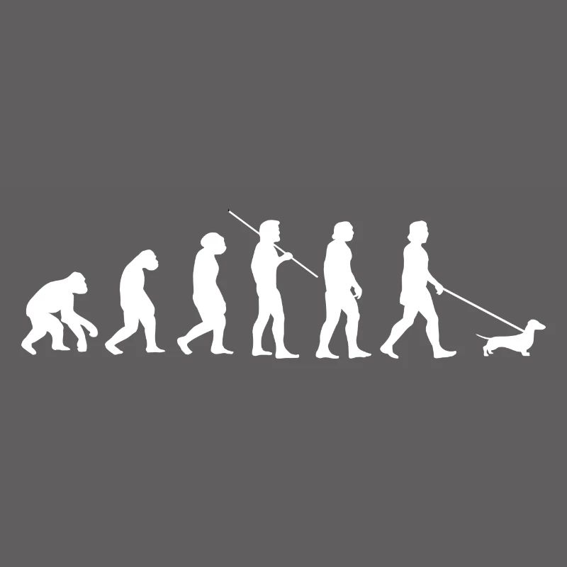 Idée cadeau teckel évolution teckel teckel