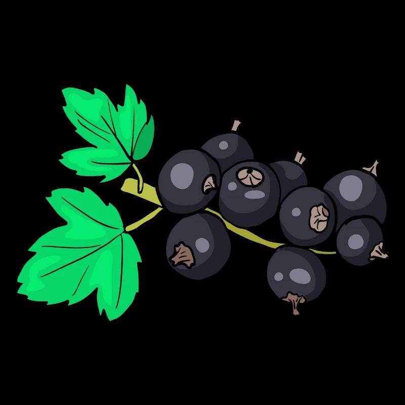 Cassis Ribisel Meertrübeli Trübeli Ribiseli