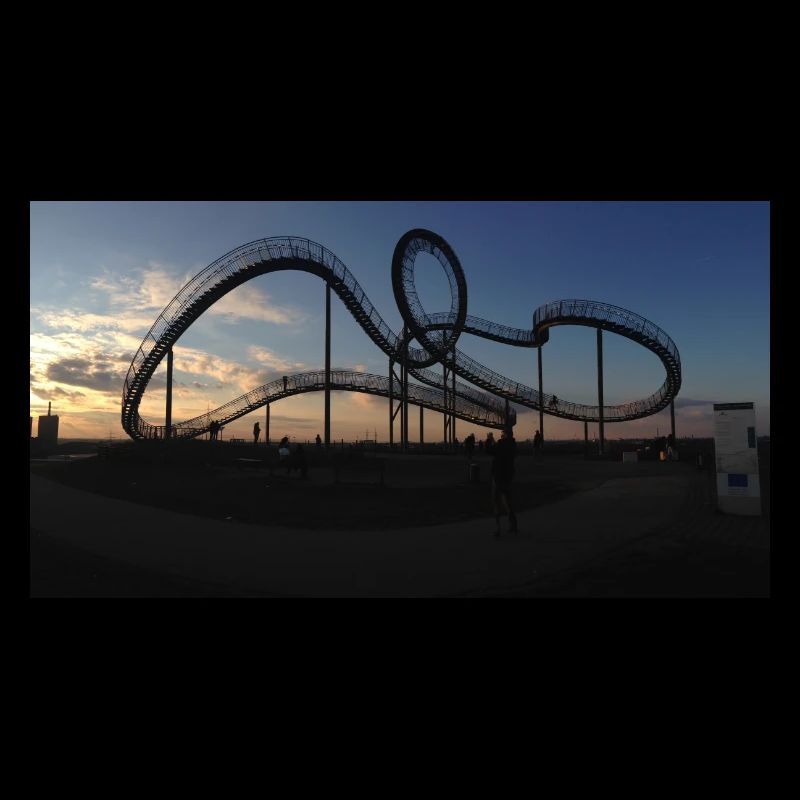 Tiger & Turtle