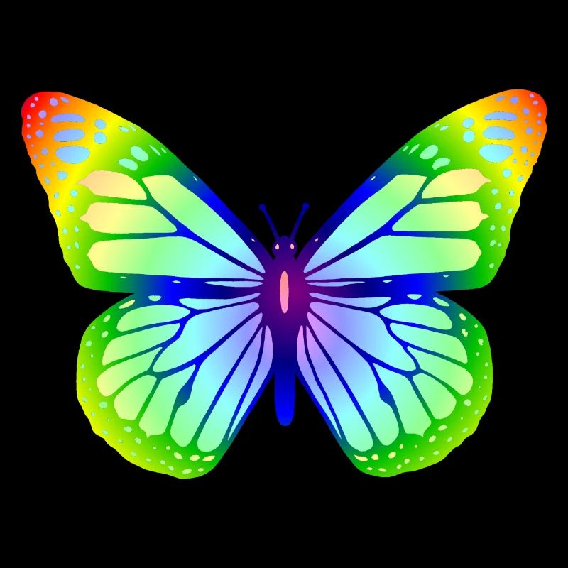 Butterfly 1