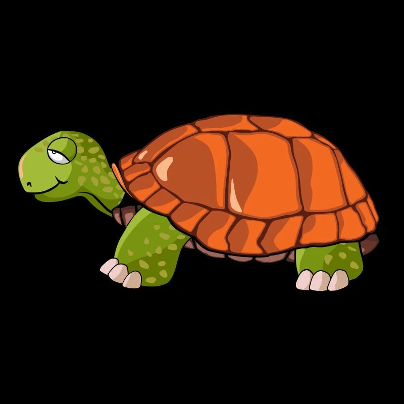 turtle drawing