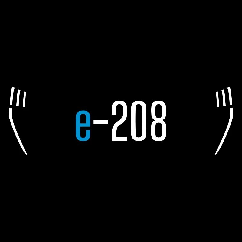 e-208