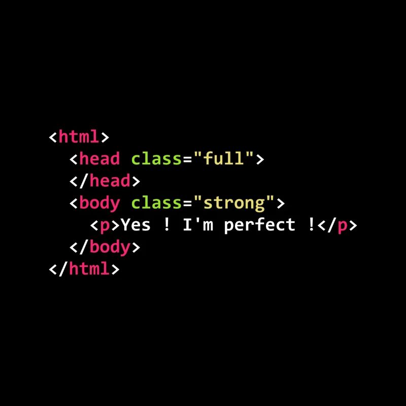 HTML perfekt