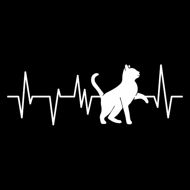 Chat Chat Chat