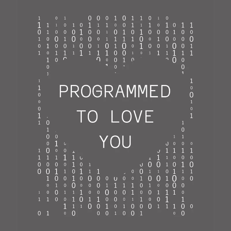 Developer Coder Programmer