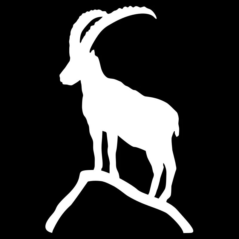 Steinbock auf Berg Felsen