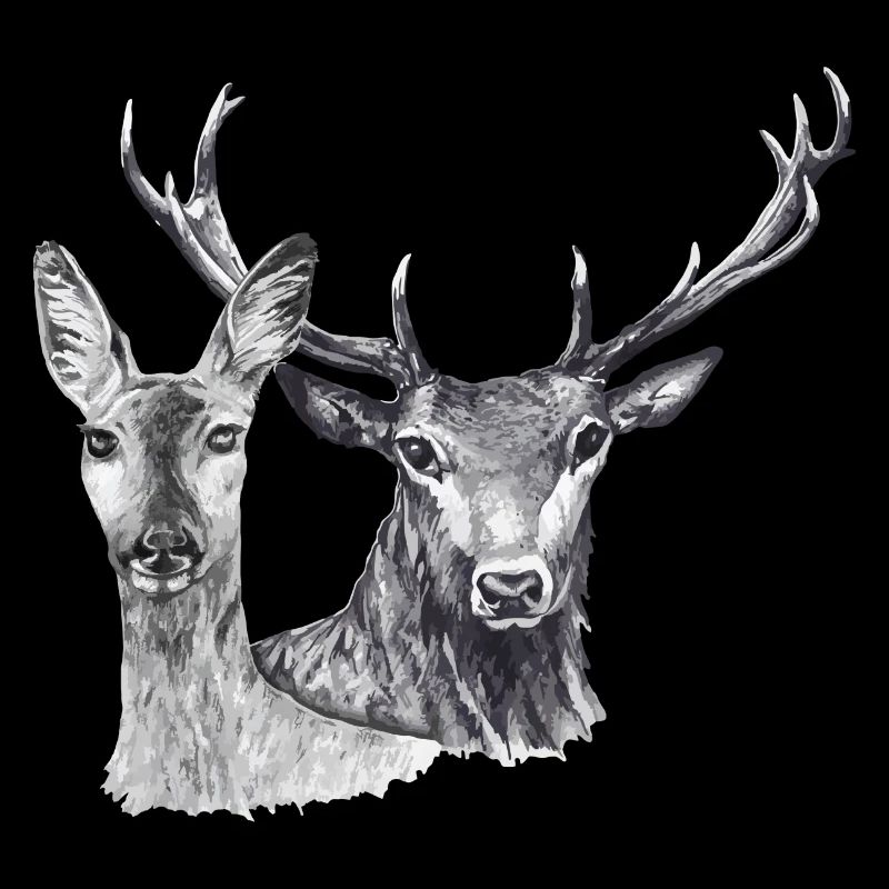 Roe deer and deer