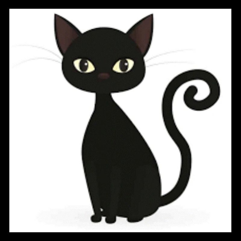 chat noir