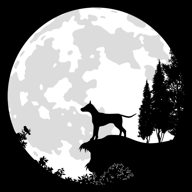 Hund Vollmond Dobermann