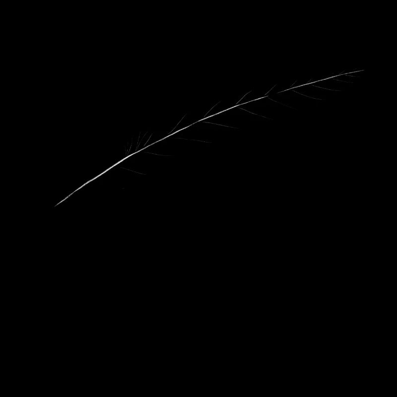 Feather of course