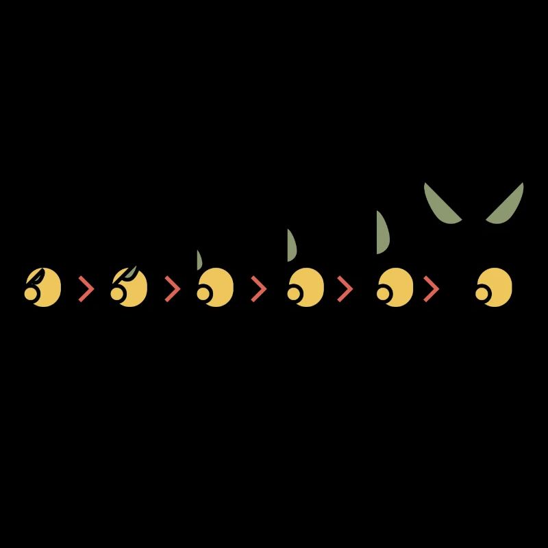 Pois - germination et croissance