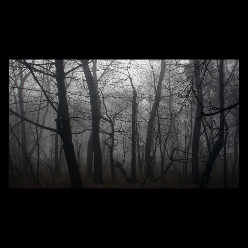 Forêt